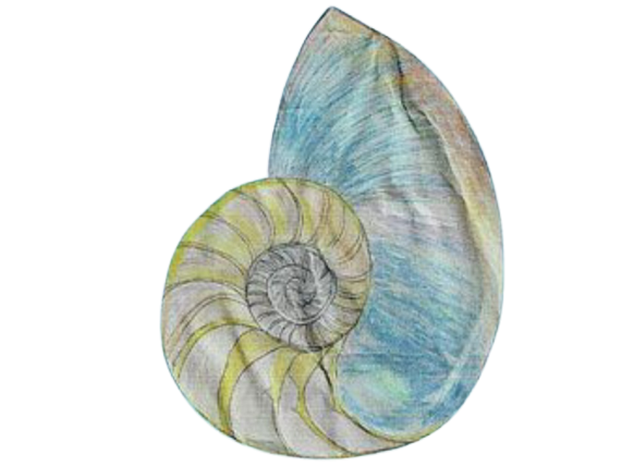 Selbsthilfegruppe Nautilus Soltau